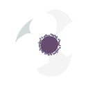 white-flower